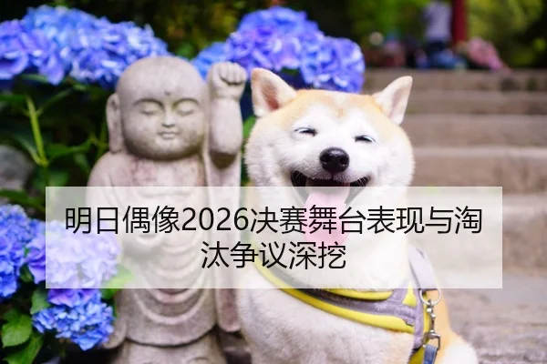 明日偶像2026决赛舞台表现与淘汰争议深挖